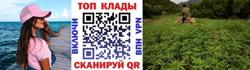 Где продают наркотики Завитинск ГАШИШ  КОКАИН  АМФЕТАМИН  Конопля  Меф мяу мяу 
