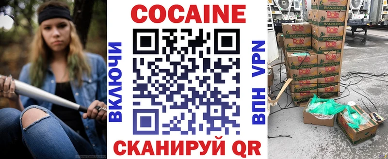 купить закладку  Завитинск  Cocaine Fish Scale 