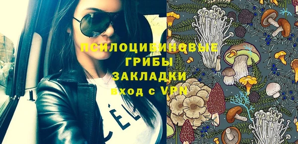 прущий лед Михайловка